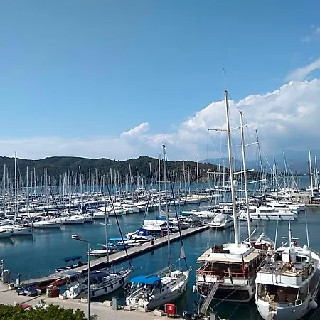 Ece Marina